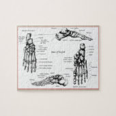 Knochen des menschlichen Fußes Puzzle (Horizontal)