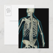 Knochen des Oberkörpers 2 Postkarte (Vorne/Hinten)
