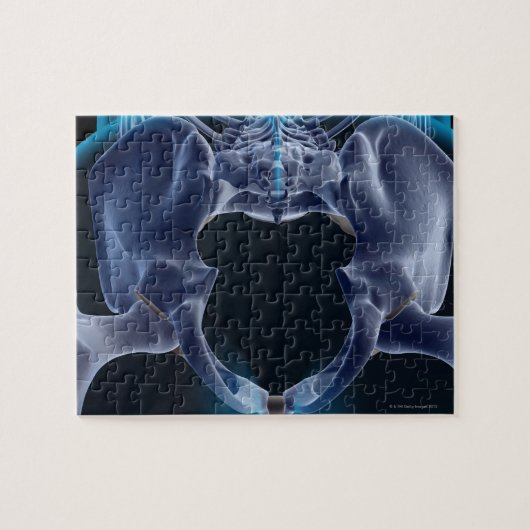 Knochen des Pelvis Puzzle (Horizontal)