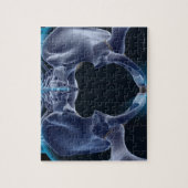 Knochen des Pelvis Puzzle (Vertikal)