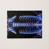 Knochen des Stamm 2 Puzzle (Horizontal)