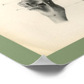 Knochen-Gelenke tierärztliche Anatomie Druck Poster (Ecke)