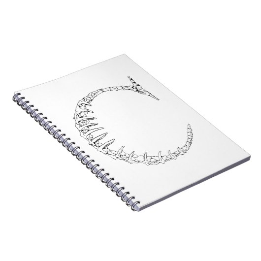 Knochen-Initiale des Buchstabe-C Notizblock (Rechte Seite)