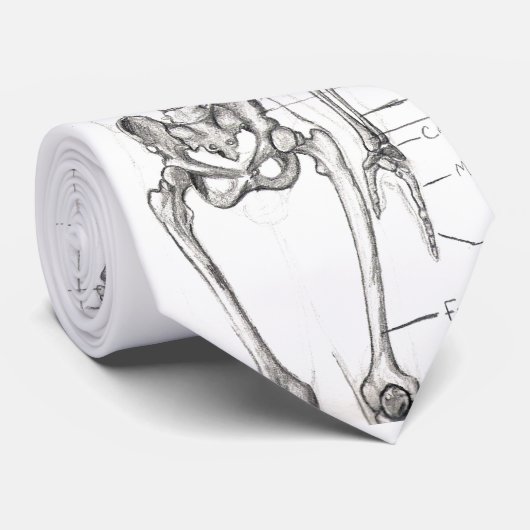 Knochen… Krawatte (Gerollt)