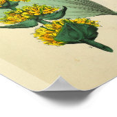 Knochen Medizinische Anatomie Medizin Art Print Poster (Ecke)