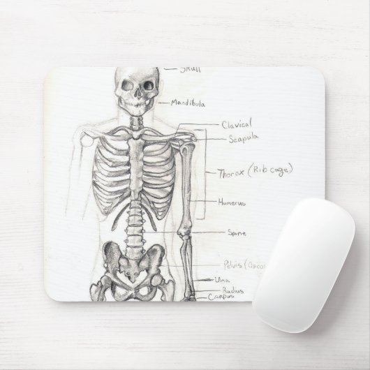 Knochen Mousepad (Mit Mouse)