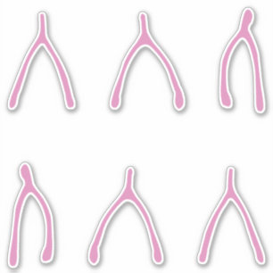 Knochen   Niedlich Pink Wishbone Aufkleber