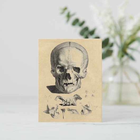 Knochen Postkarte (Stehend Vorderseite)