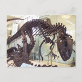 Knochen Postkarte (Vorderseite)