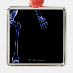 Knochen von dem angesagten silbernes ornament