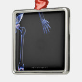 Knochen von dem angesagten silbernes ornament (Links)