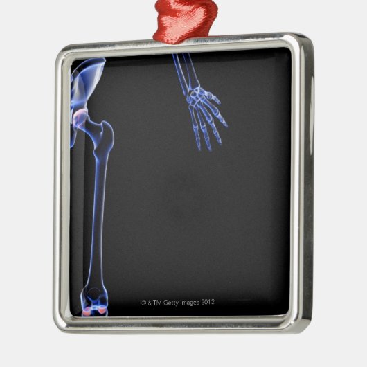 Knochen von dem angesagten silbernes ornament (Links)