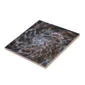 Knochen von Galaxy IC5332 von JWST Fliese (Seite)