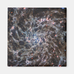 Knochen von Galaxy IC5332 von JWST Magnet