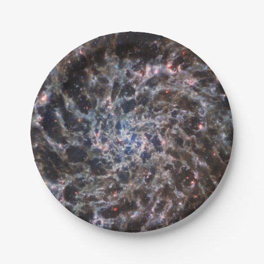 Knochen von Galaxy IC5332 von JWST Pappteller (Vorderseite)