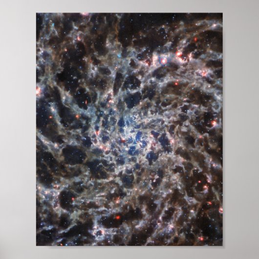 Knochen von Galaxy IC5332 von JWST Poster (Vorne)