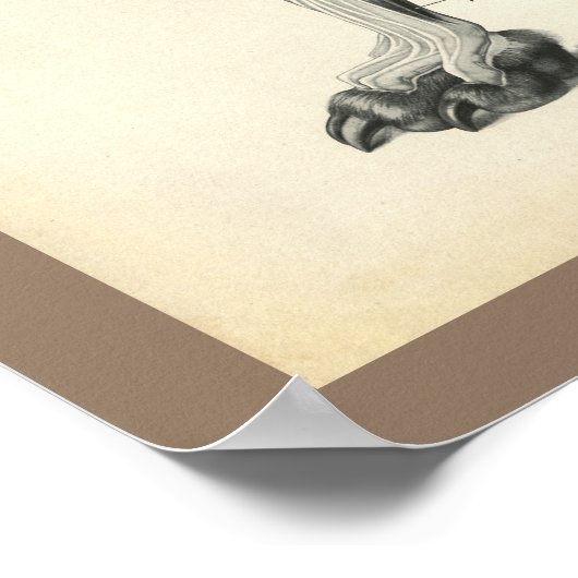 Knochen von Hunden Muskeln Anatomie beim Tierarzt  Poster (Ecke)