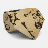 Knochenanatomie Archäologie-Design Krawatte (Gerollt)