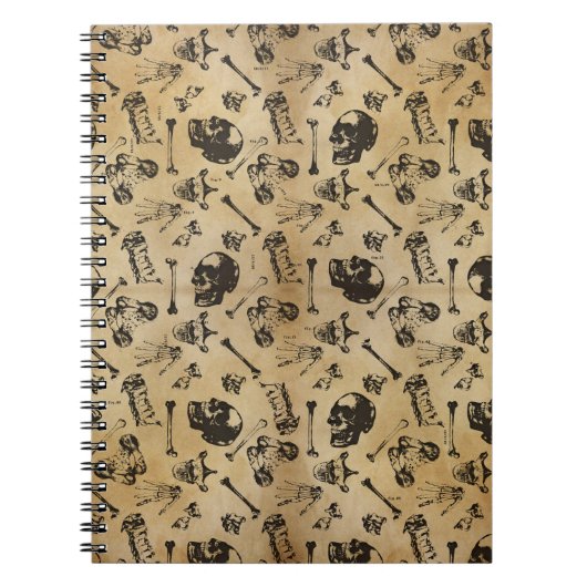 Knochenanatomie Notizblock (Vorderseite)