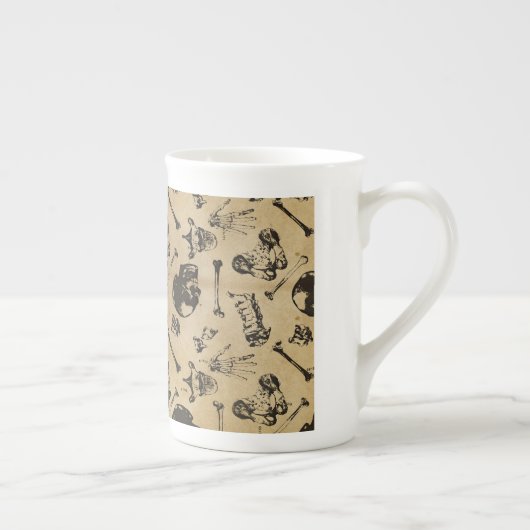 Knochenanatomie Porzellantasse (Rechts)