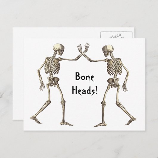 Knochenköpfe Skelette Postkarte (Vorne/Hinten)