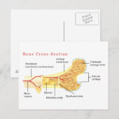 Knochenkreuzdiagramm Postkarte (Vorne/Hinten)