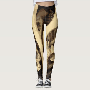Knochenstall. Leggings
