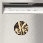 Knochenstall. Magnet (In Situ (Geschirrspüler))