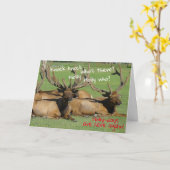 Knock Knock Holly days - Karte (Gelbe Blume)