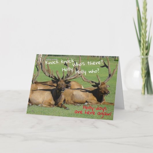 Knock Knock Holly days - Karte (Vorderseite)