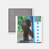 Knock Knock Neighbhood Friends Borneo Magnet (Vorderseite/Rückseite)