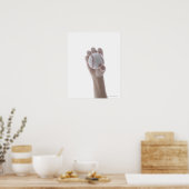 Knockleball. Poster (Küche)