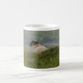 Knocknara Irland Schaf-Lämmer Kaffeetasse (Mittel)