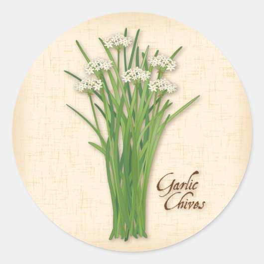 Knolic Chives Herb Round Stickers (Vorderseite)