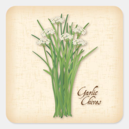 Knolic Chives Herb Square Sticker (Vorderseite)