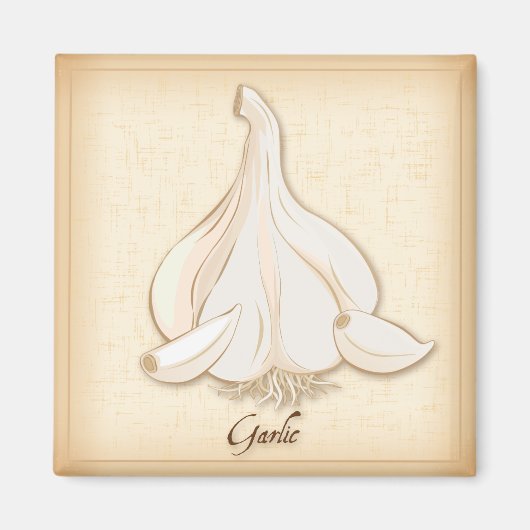 Knolic Magnet (Vorne)