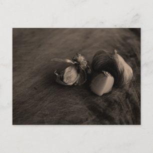 Knolic Still Life Fine Art Fotograf Postkarte