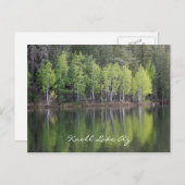 Knoll Lake Arizona Postkarte (Vorne/Hinten)