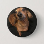 Knopf ausgezeichnetes mICKEY Button (Vorderseite)