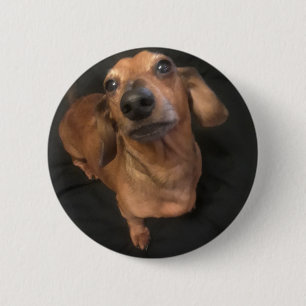 Knopf ausgezeichnetes mICKEY Button