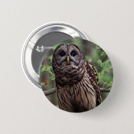 Knopf "Barry Owl" Button (Vorne & Hinten)