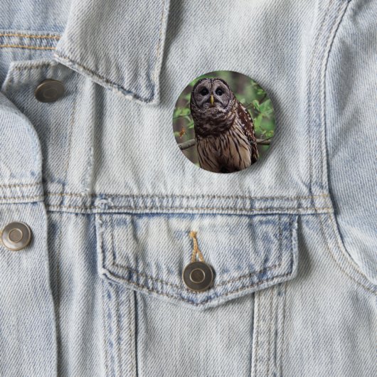Knopf "Barry Owl" Button (Beispiel)