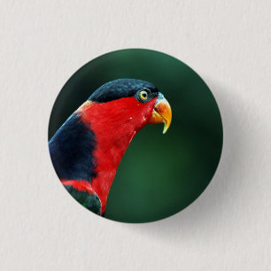Knopf "Bird" Button