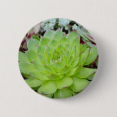 Knopf Button (Vorderseite)