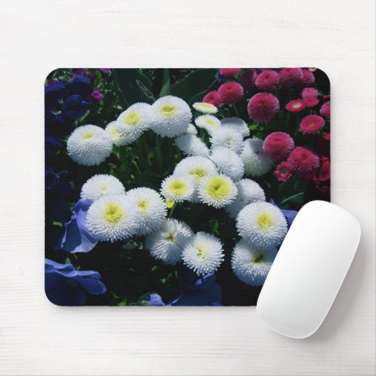 Knopf-Chrysanthemen Mousepad (Mit Mouse)