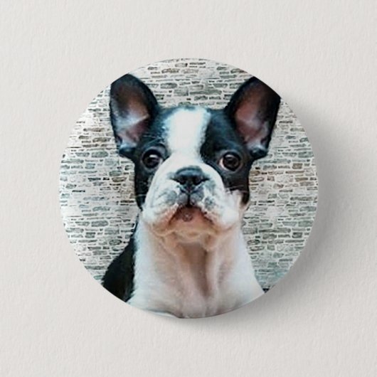 Knopf der französischen Bulldogge Button (Vorderseite)