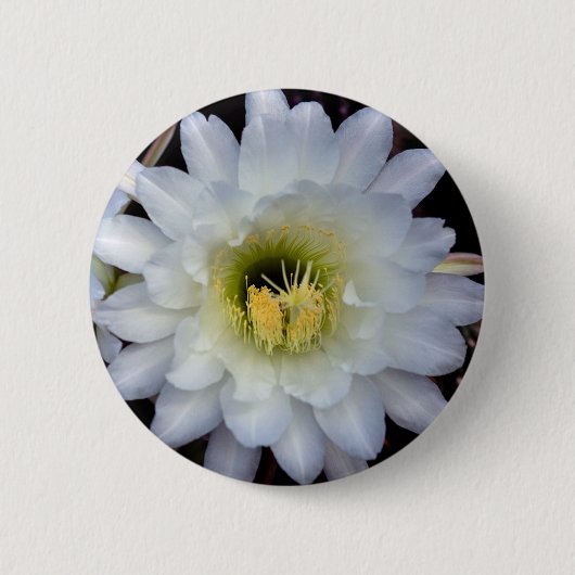 Knopf der Kaktus-Blumen-4355 Button (Vorderseite)