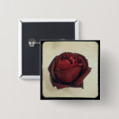 Knopf der Rosen-TTV Button (Vorne & Hinten)