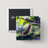 Knopf der Waldzelt-Raupen-1 Button (Vorne & Hinten)