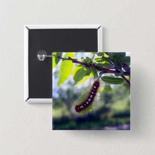 Knopf der Waldzelt-Raupen-1 Button (Vorne & Hinten)